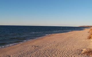 Grzybowo wschód - 28-04-2026 17:21