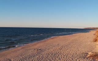 Grzybowo wschód - 28-04-2026 17:36