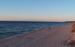 Grzybowo wschód - 28-04-2026 17:59