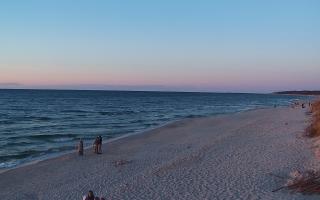 Grzybowo wschód - 28-04-2026 18:22