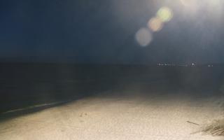 Grzybowo wschód - 28-04-2026 19:38