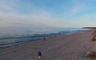 Grzybowo wschód - 29-04-2026 17:24