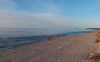 Grzybowo wschód - 29-04-2026 17:31