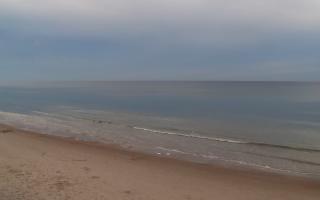 Grzybowo zachód - 01-11-2025 13:39