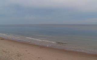 Grzybowo zachód - 01-11-2025 13:47