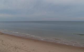 Grzybowo zachód - 01-11-2025 13:54