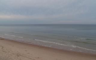 Grzybowo zachód - 01-11-2025 14:02