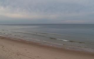 Grzybowo zachód - 01-11-2025 14:10