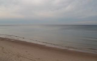 Grzybowo zachód - 01-11-2025 14:25