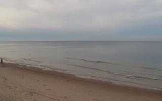 Grzybowo zachód - 01-11-2025 14:32