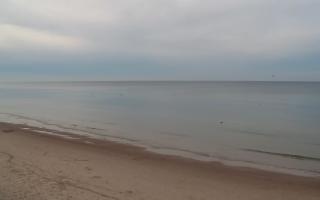 Grzybowo zachód - 01-11-2025 14:40