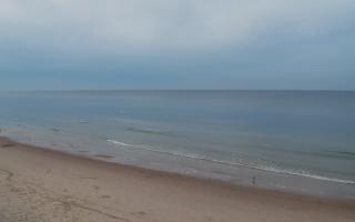 Grzybowo zachód - 01-11-2025 14:55