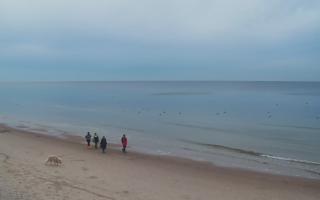 Grzybowo zachód - 01-11-2025 15:03