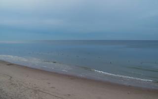 Grzybowo zachód - 01-11-2025 15:10