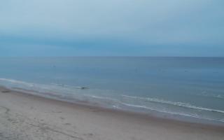 Grzybowo zachód - 01-11-2025 15:18