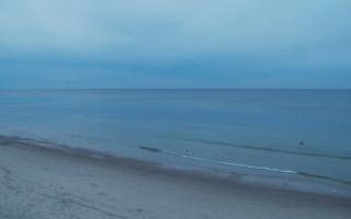 Grzybowo zachód - 01-11-2025 15:25