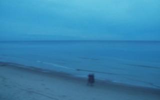 Grzybowo zachód - 01-11-2025 15:48