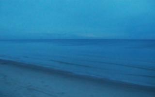 Grzybowo zachód - 01-11-2025 15:56