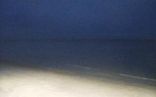 Grzybowo zachód - 01-11-2025 16:18