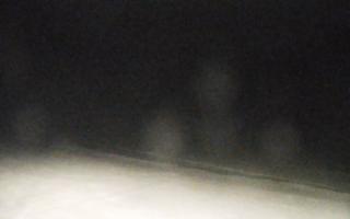 Grzybowo zachód - 01-11-2025 19:28