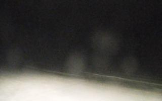 Grzybowo zachód - 01-11-2025 19:35