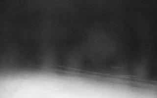 Grzybowo zachód - 02-11-2025 05:11