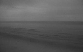 Grzybowo zachód - 02-11-2025 05:26