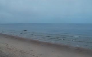 Grzybowo zachód - 02-11-2025 06:19