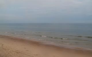 Grzybowo zachód - 02-11-2025 06:35