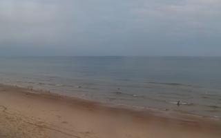 Grzybowo zachód - 02-11-2025 06:42