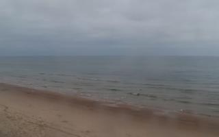 Grzybowo zachód - 02-11-2025 07:12