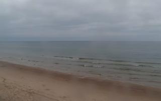 Grzybowo zachód - 02-11-2025 07:20