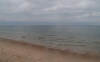 Grzybowo zachód - 02-11-2025 07:28