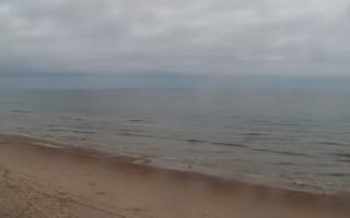 Grzybowo zachód - 02-11-2025 07:35