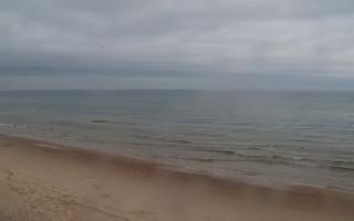 Grzybowo zachód - 02-11-2025 07:43