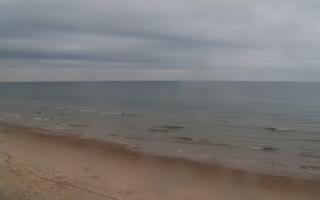 Grzybowo zachód - 02-11-2025 07:50