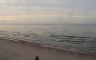 Grzybowo zachód - 02-11-2025 14:47