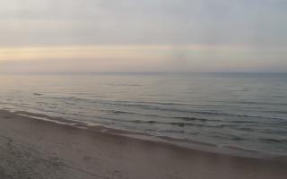 Grzybowo zachód - 02-11-2025 15:02