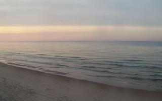 Grzybowo zachód - 02-11-2025 15:10