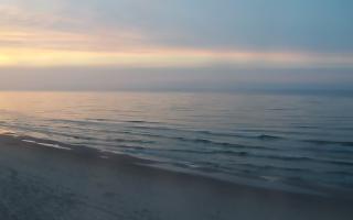 Grzybowo zachód - 02-11-2025 15:32