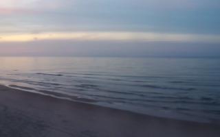 Grzybowo zachód - 02-11-2025 15:48