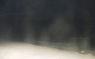 Grzybowo zachód - 02-11-2025 16:56