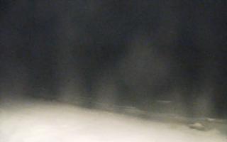 Grzybowo zachód - 02-11-2025 17:03