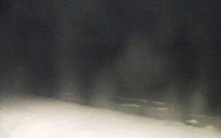 Grzybowo zachód - 02-11-2025 17:26