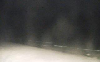 Grzybowo zachód - 02-11-2025 18:27