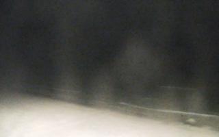 Grzybowo zachód - 02-11-2025 19:05