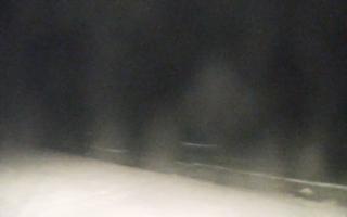 Grzybowo zachód - 02-11-2025 19:20