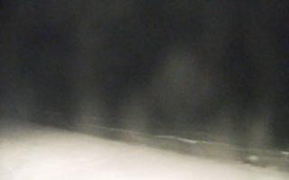 Grzybowo zachód - 02-11-2025 19:58