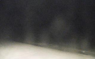 Grzybowo zachód - 02-11-2025 22:29