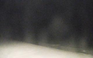 Grzybowo zachód - 02-11-2025 22:37